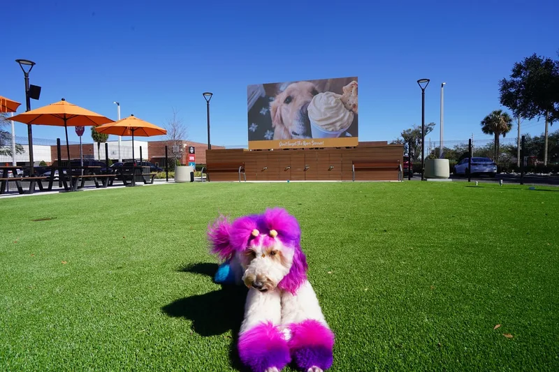 Dougie's Dog Bar — image 1
