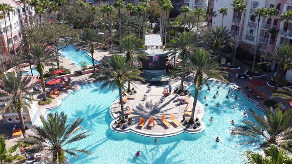 Aerial view of resort pool surrounded by palm trees.