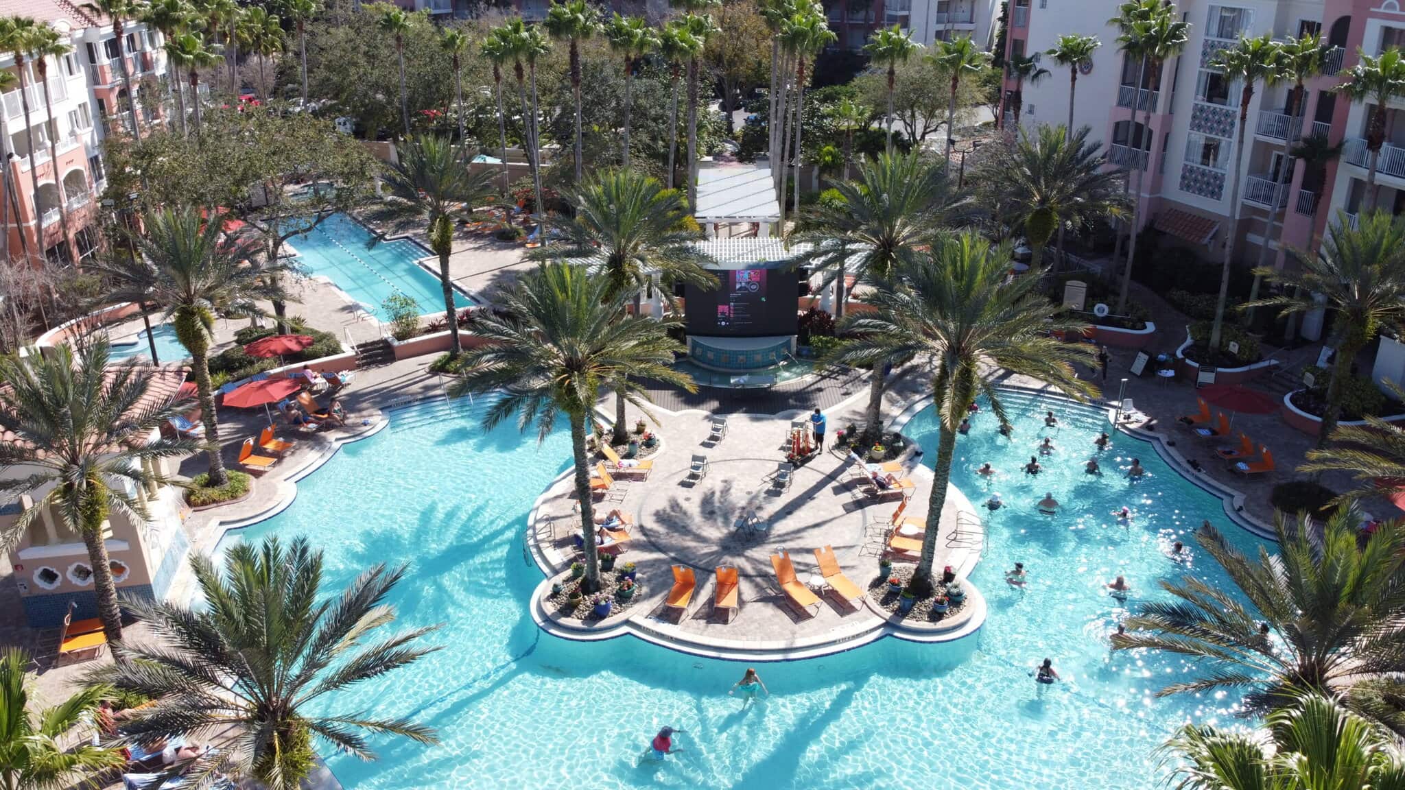 Resort pool surrounded by palm trees and lounge chairs.
